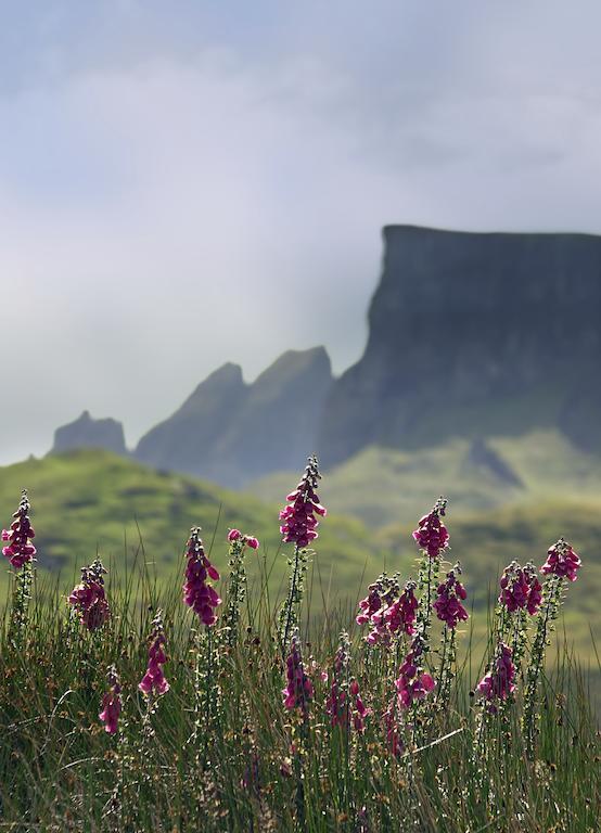 Home Farm Apartments Portree Bagian luar foto
